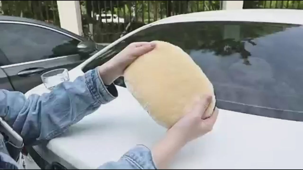 Rękawica do mycia Auta i Domu